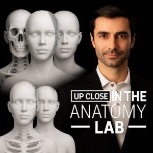 Professor Cotofana Anatomy review
