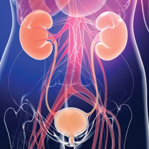 Oakstone Comprehensive Review of Urology 2024