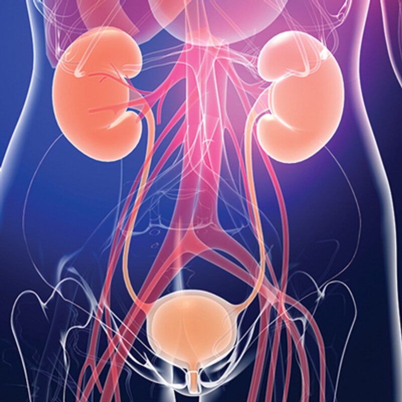 Oakstone Comprehensive Review of Urology 2024