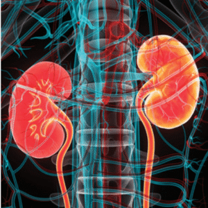 Intensive Review of Nephrology 2024