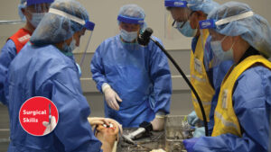 AAOS Advanced Techniques in Knee: Cartilage, Ligaments, Osteotomy, Meniscus and More 2022 (Videos)
